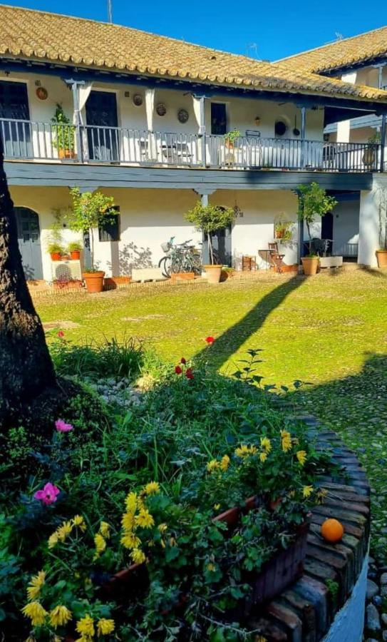 Apartamento En Monumento Historico Nacional Corral Del Conde-Duque De Olivares Sevilla Exteriér fotografie